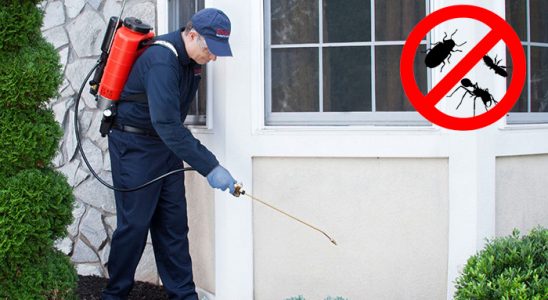 İmranlı Böcek İlaçlama böcek ilaçlama ve haşere kontrolü — ilaclama-tr.com